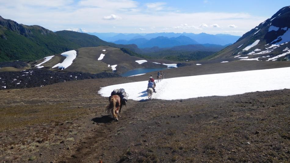 People travelling with horses in Patagonia
