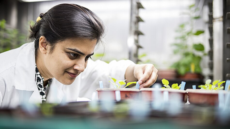 a woman looking at the plant